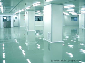 東莞潔凈車(chē)間,食品車(chē)間凈化制藥廠房?jī)艋こ虉D片 高清大圖 谷瀑環(huán)保